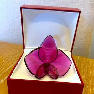Baccarat Orchid